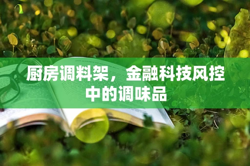 厨房调料架，金融科技风控中的调味品