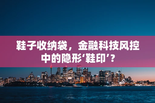 鞋子收纳袋，金融科技风控中的隐形‘鞋印’？