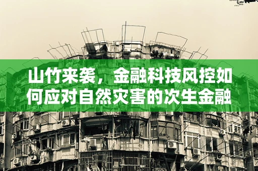 山竹来袭，金融科技风控如何应对自然灾害的次生金融风险？