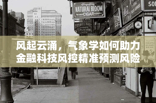 风起云涌，气象学如何助力金融科技风控精准预测风险？