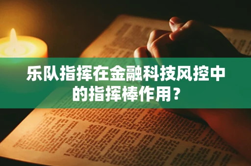 乐队指挥在金融科技风控中的指挥棒作用？