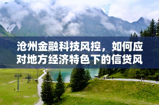 沧州金融科技风控，如何应对地方经济特色下的信贷风险？