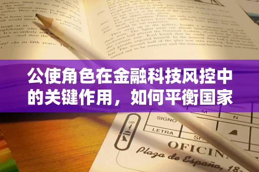 公使角色在金融科技风控中的关键作用，如何平衡国家利益与市场效率？