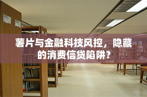 薯片与金融科技风控，隐藏的消费信贷陷阱？