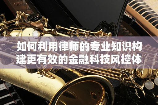 如何利用律师的专业知识构建更有效的金融科技风控体系？