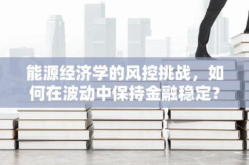 能源经济学的风控挑战，如何在波动中保持金融稳定？