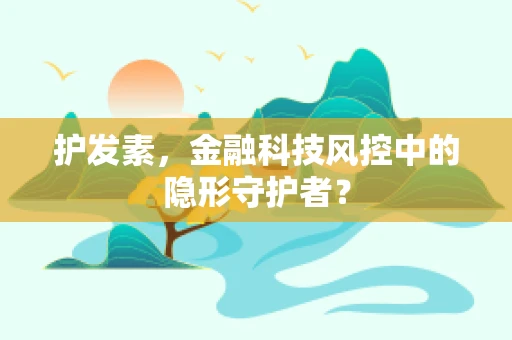 护发素，金融科技风控中的隐形守护者？