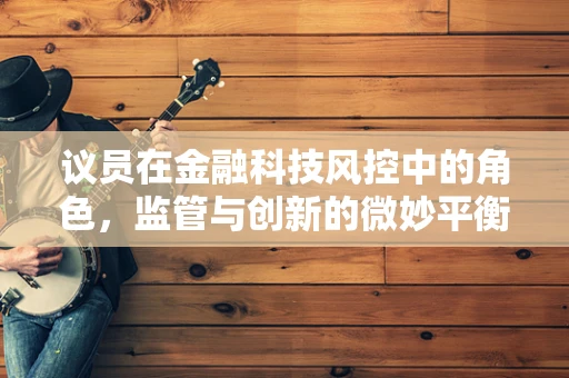 议员在金融科技风控中的角色，监管与创新的微妙平衡？