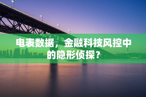 电表数据，金融科技风控中的隐形侦探？