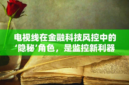 电视线在金融科技风控中的‘隐秘’角色，是监控新利器还是隐私泄露风险？