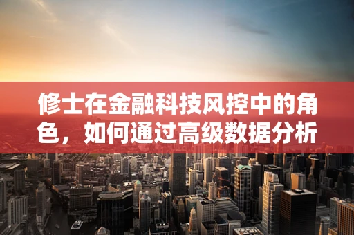 修士在金融科技风控中的角色，如何通过高级数据分析提升风险评估的精准度？