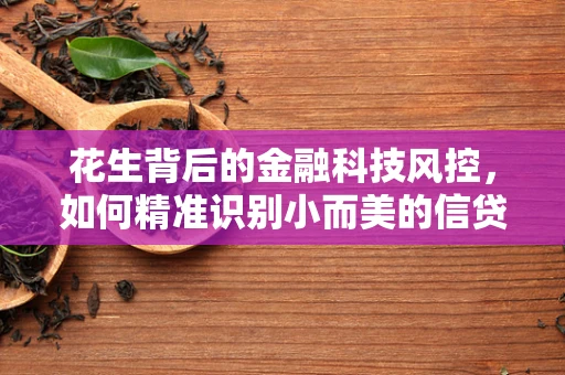 花生背后的金融科技风控，如何精准识别小而美的信贷风险？