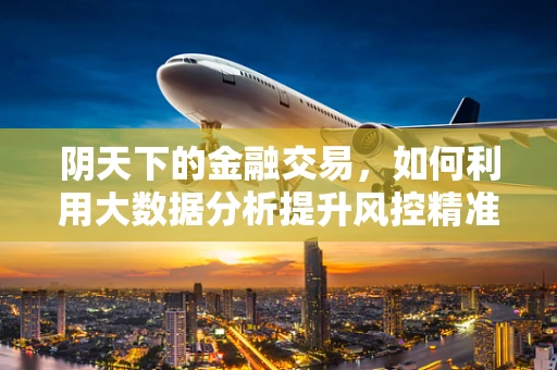 阴天下的金融交易，如何利用大数据分析提升风控精准度？