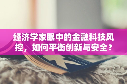 经济学家眼中的金融科技风控，如何平衡创新与安全？
