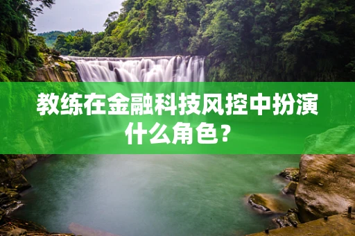 教练在金融科技风控中扮演什么角色？