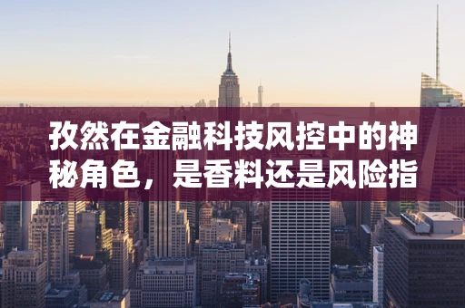 孜然在金融科技风控中的神秘角色，是香料还是风险指标？