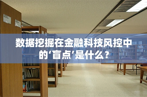 数据挖掘在金融科技风控中的‘盲点’是什么？