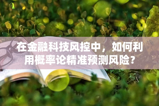 在金融科技风控中，如何利用概率论精准预测风险？