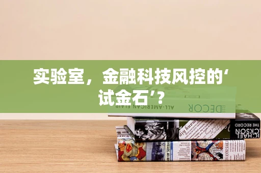 实验室，金融科技风控的‘试金石’？