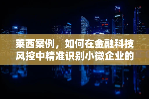 莱西案例，如何在金融科技风控中精准识别小微企业的信用风险？