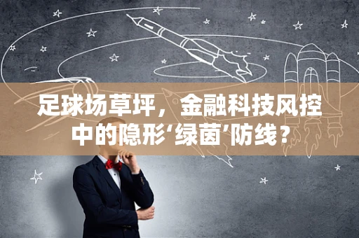 足球场草坪，金融科技风控中的隐形‘绿茵’防线？