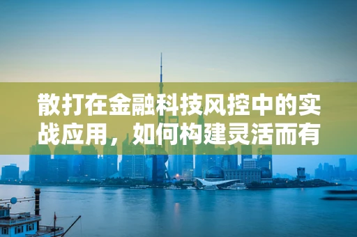 散打在金融科技风控中的实战应用，如何构建灵活而有效的风险评估体系？