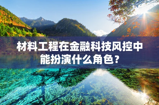 材料工程在金融科技风控中能扮演什么角色？