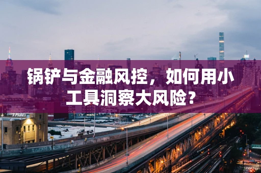 锅铲与金融风控，如何用小工具洞察大风险？