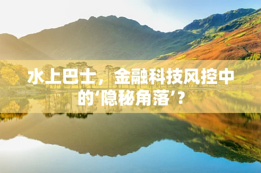 水上巴士，金融科技风控中的‘隐秘角落’？