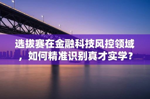 选拔赛在金融科技风控领域，如何精准识别真才实学？