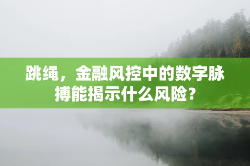 跳绳，金融风控中的数字脉搏能揭示什么风险？