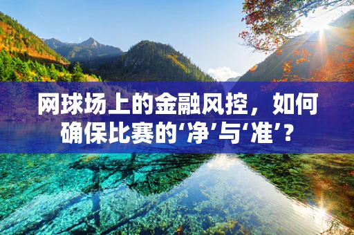 网球场上的金融风控，如何确保比赛的‘净’与‘准’？