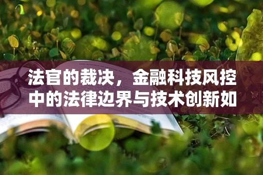法官的裁决，金融科技风控中的法律边界与技术创新如何共舞？