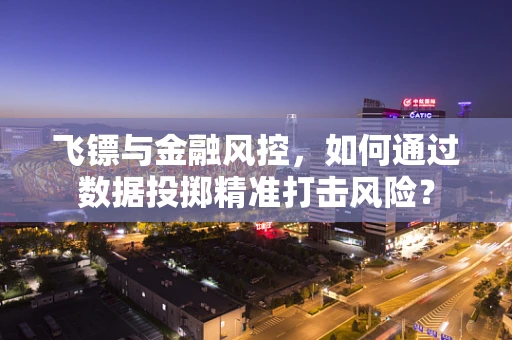 飞镖与金融风控，如何通过数据投掷精准打击风险？