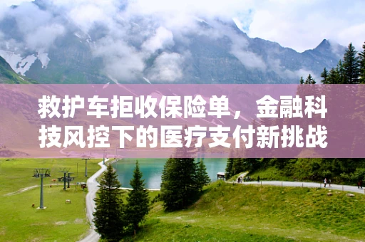 救护车拒收保险单，金融科技风控下的医疗支付新挑战？