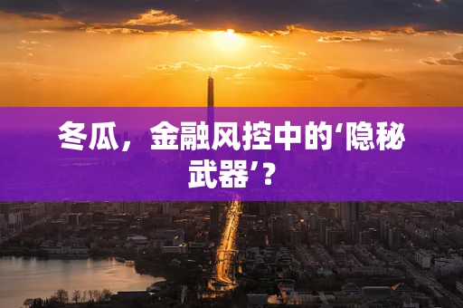 冬瓜，金融风控中的‘隐秘武器’？