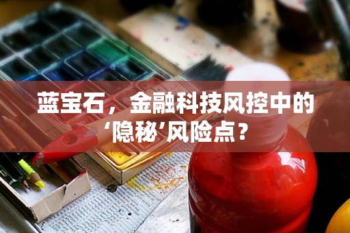 蓝宝石，金融科技风控中的‘隐秘’风险点？