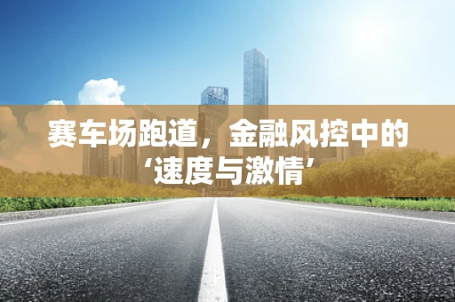 赛车场跑道，金融风控中的‘速度与激情’