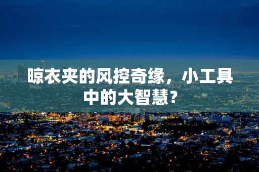晾衣夹的风控奇缘，小工具中的大智慧？