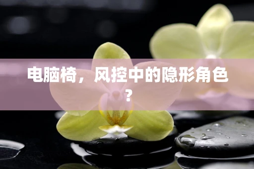 电脑椅，风控中的隐形角色？