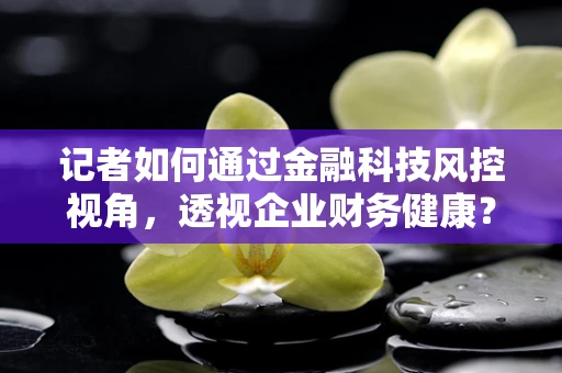 记者如何通过金融科技风控视角，透视企业财务健康？