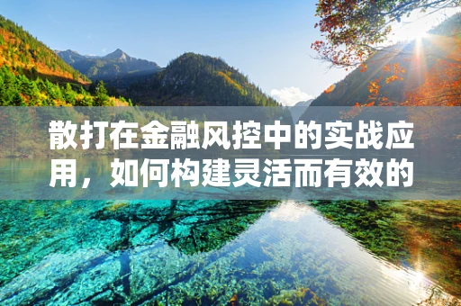 散打在金融风控中的实战应用，如何构建灵活而有效的风险防御体系？