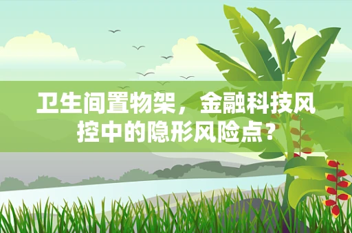 卫生间置物架，金融科技风控中的隐形风险点？