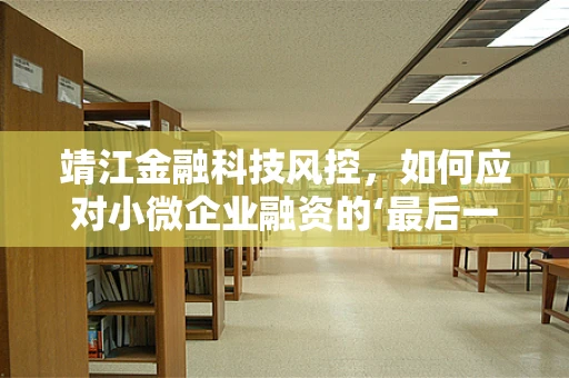靖江金融科技风控，如何应对小微企业融资的‘最后一公里’挑战？