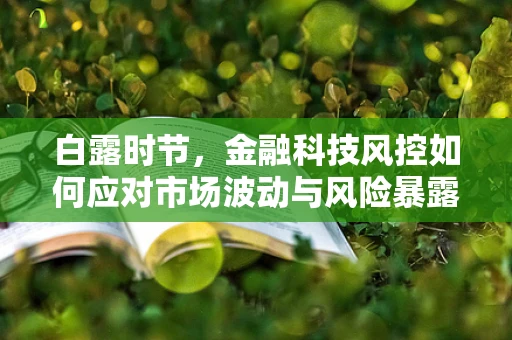 白露时节，金融科技风控如何应对市场波动与风险暴露？