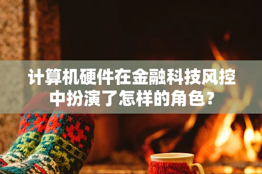 计算机硬件在金融科技风控中扮演了怎样的角色？
