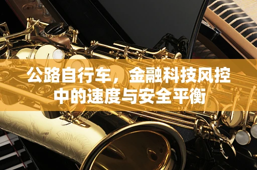 公路自行车，金融科技风控中的速度与安全平衡