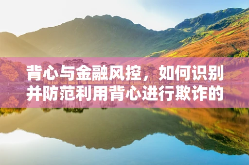 背心与金融风控，如何识别并防范利用背心进行欺诈的案例？