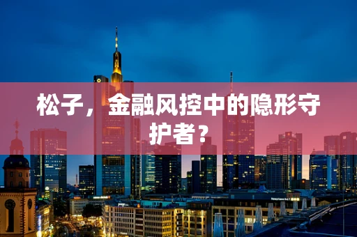 松子，金融风控中的隐形守护者？