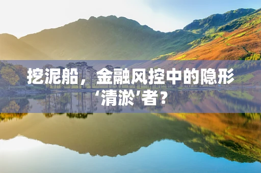 挖泥船，金融风控中的隐形‘清淤’者？